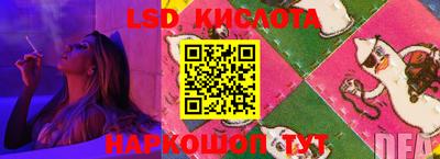 спиды Моздок