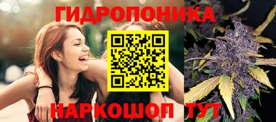 спиды Моздок