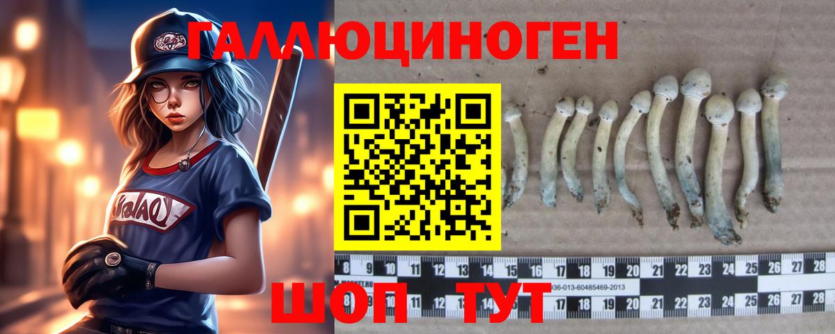 Псилоцибиновые грибы MAGIC MUSHROOMS  Вход с VPN  Псилоцибиновые грибы Psilocybe  Чистополь 